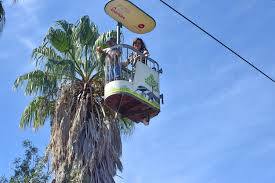 Lisboa zoologiske hage